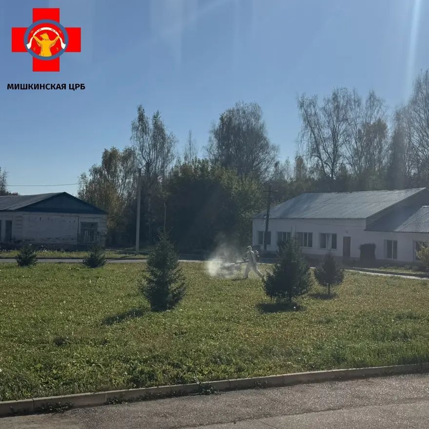 На территории Мишкинской ЦРБ проведена плановая обработка от вредителей и грызунов